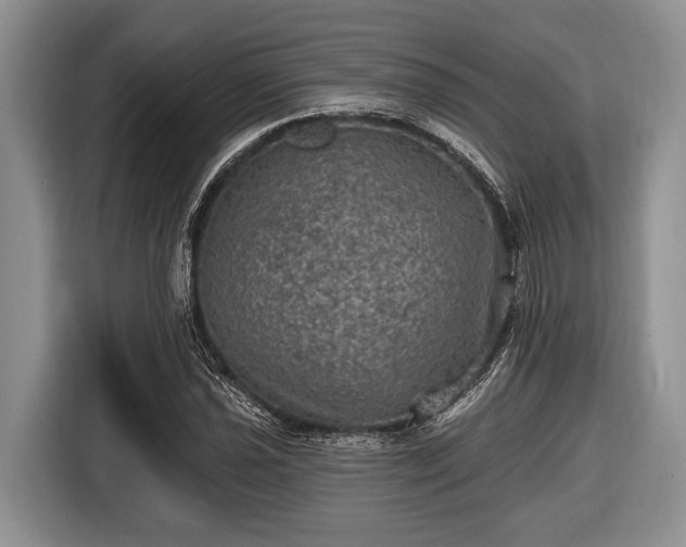 X0000116451021200912151256