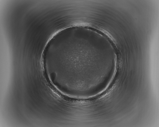 X0000116451022200912151256