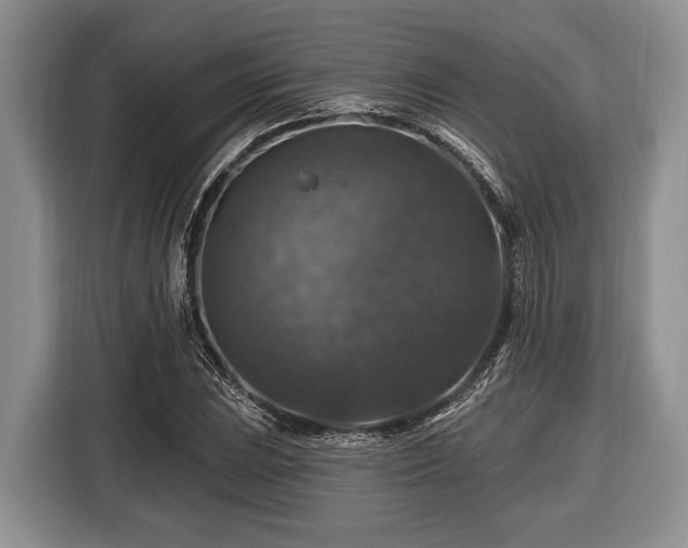 X0000116451023200912151256