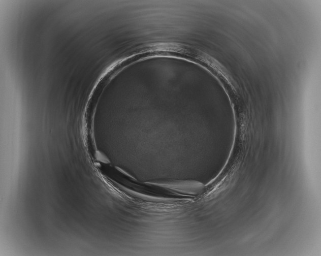 X0000116451024200912151256