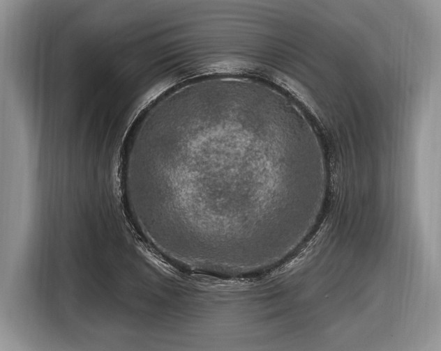 X0000116451026200912151256