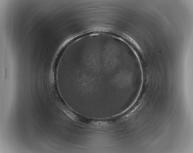 X0000116451027200912151256
