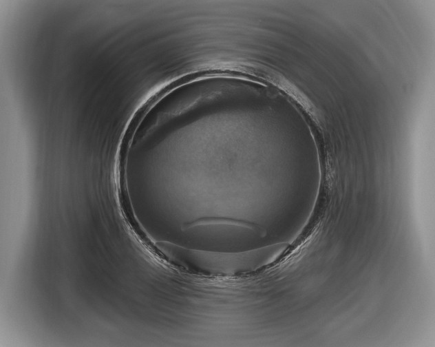X0000116451028200912151256
