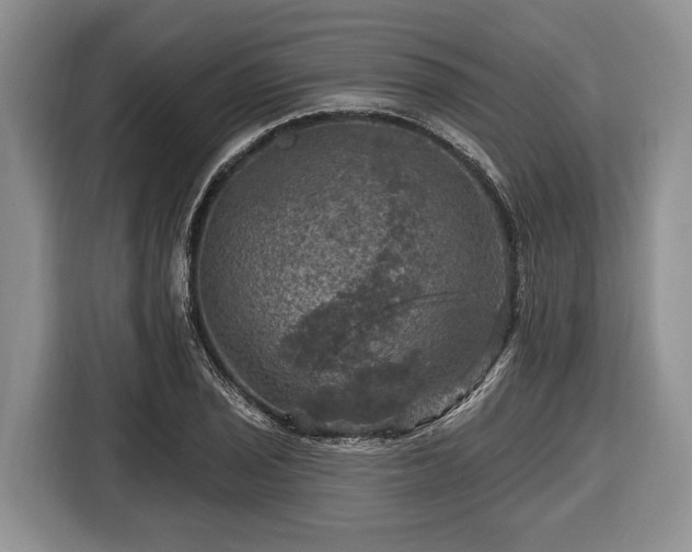 X0000116451029200912151256