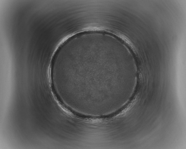 X0000116451030200912151256