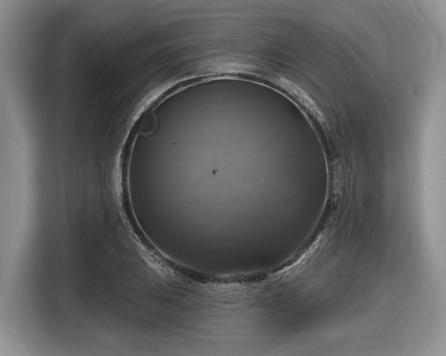 X0000116451031200912151256