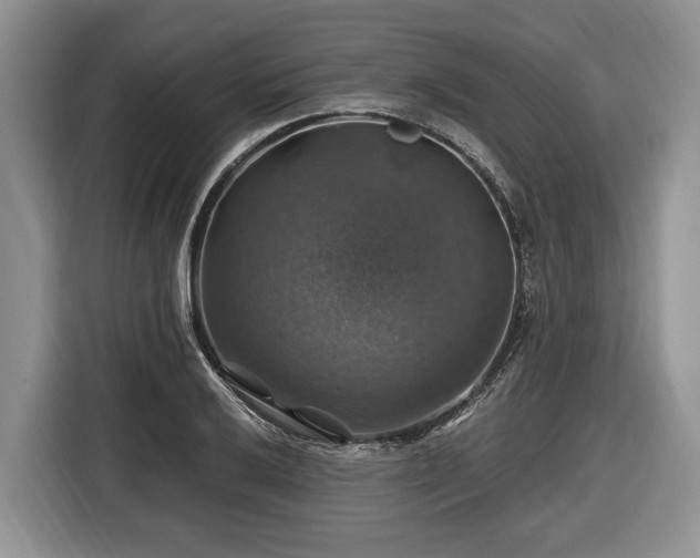 X0000116451032200912151256