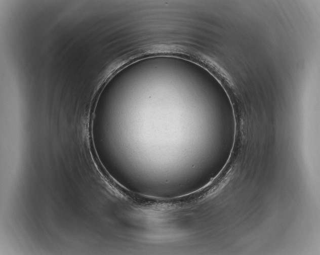 X0000116451033200912151256