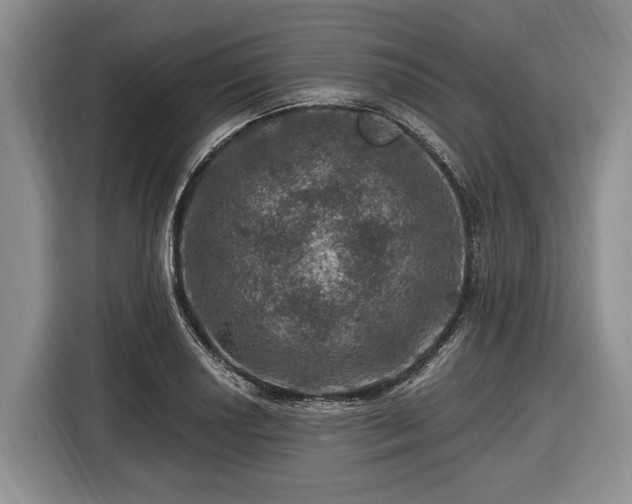 X0000116451034200912151256