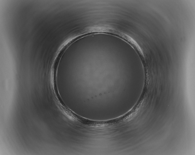 X0000116451035200912151256