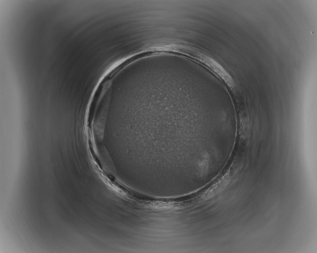 X0000116451036200912151256