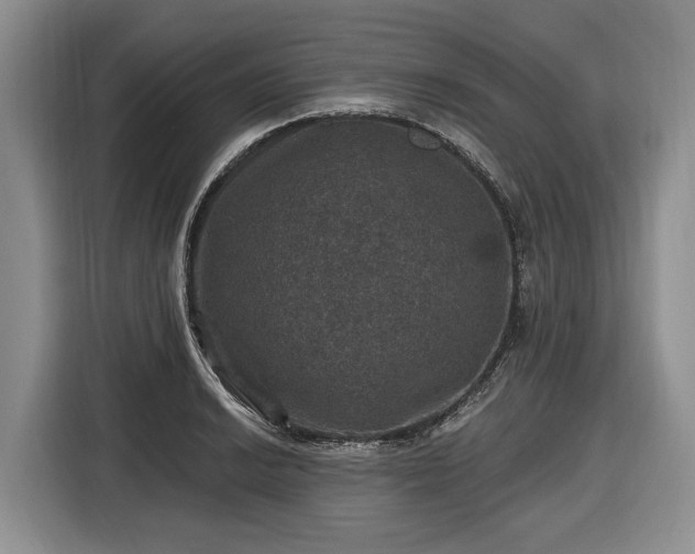 X0000116451038200912151256