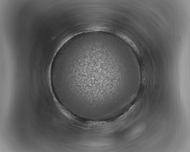 X0000116451039200912151256
