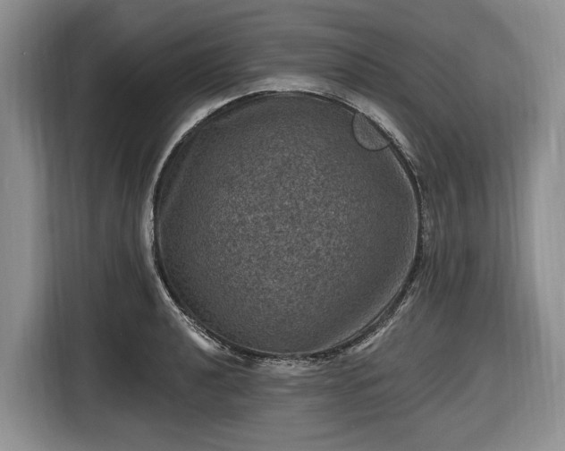 X0000116451040200912151256