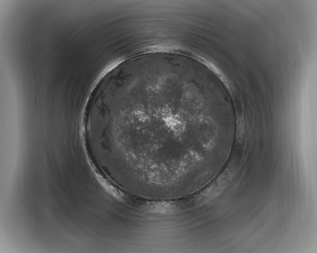 X0000116451042200912151256