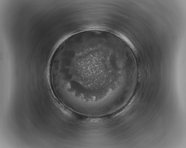 X0000116451043200912151256