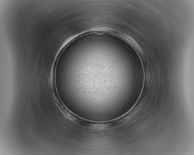 X0000116451044200912151256