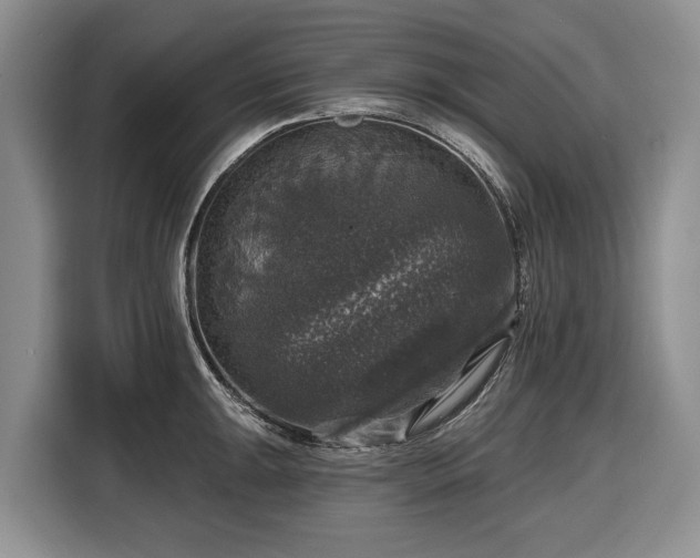 X0000116451047200912151256