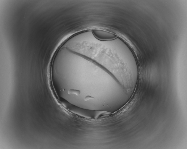X0000116451048200912151256