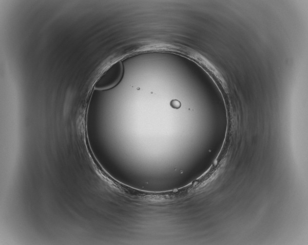X0000116451049200912151256