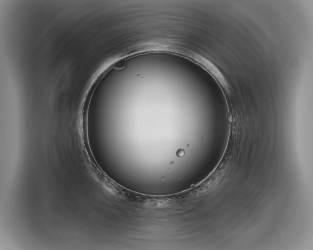 X0000116451051200912151256