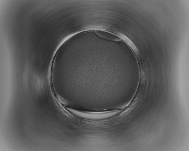 X0000116451052200912151256