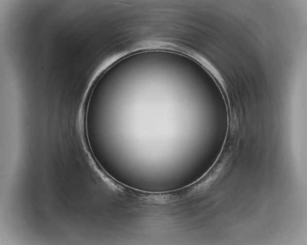 X0000116451053200912151256