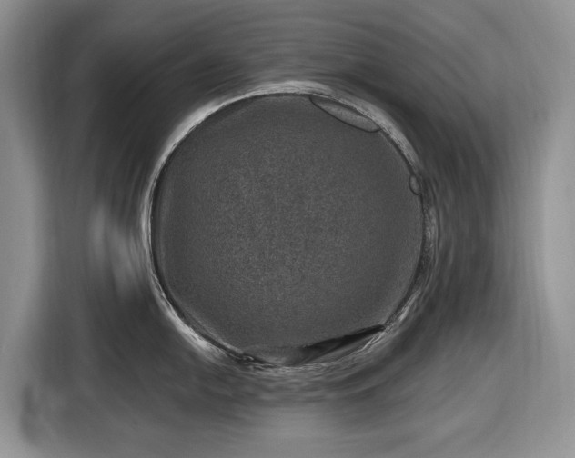 X0000116451054200912151256