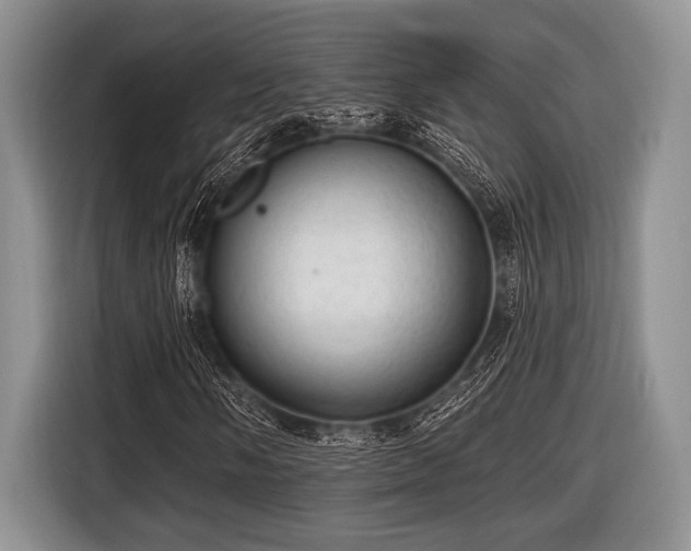 X0000116451058200912151255