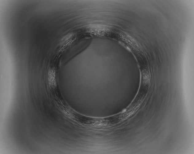 X0000116451060200912151255