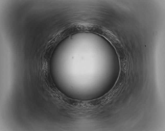 X0000116451061200912151255
