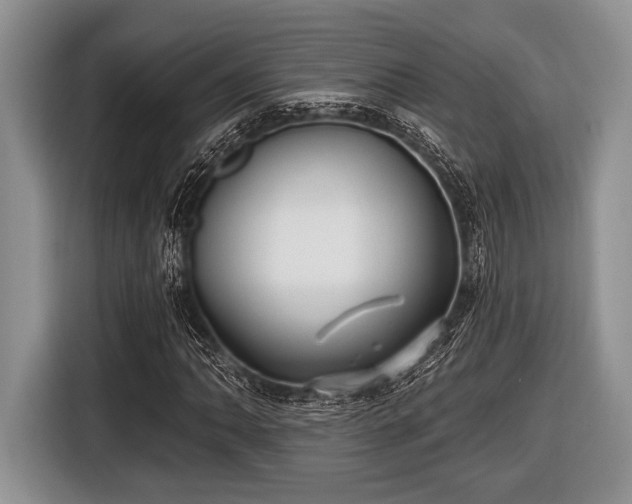 X0000116451062200912151255