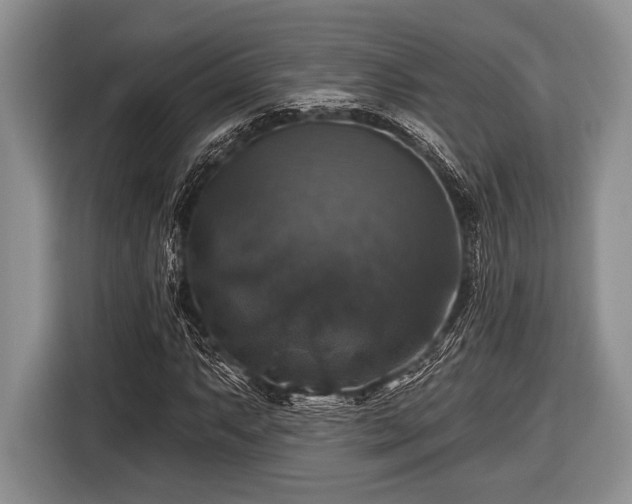 X0000116451063200912151255