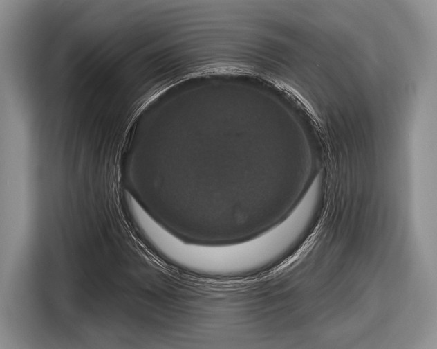 X0000116451065200912151255