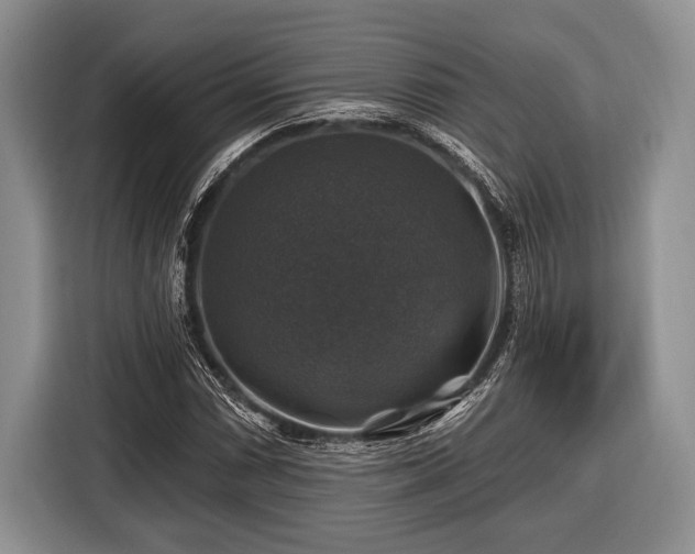 X0000116451066200912151255
