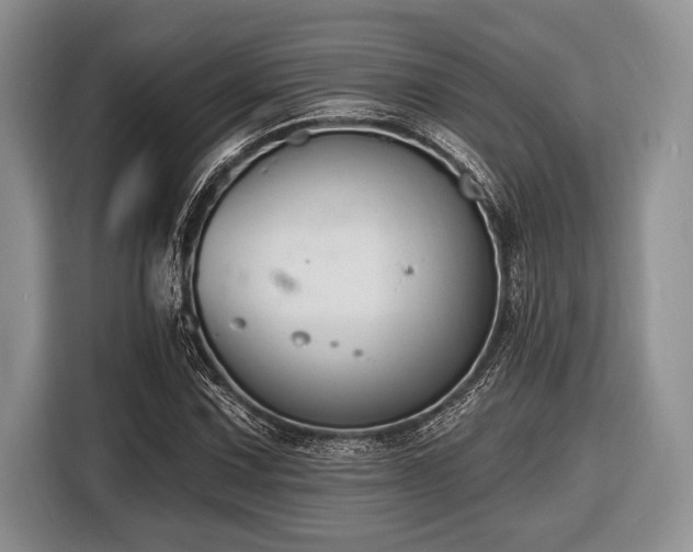 X0000116451067200912151255