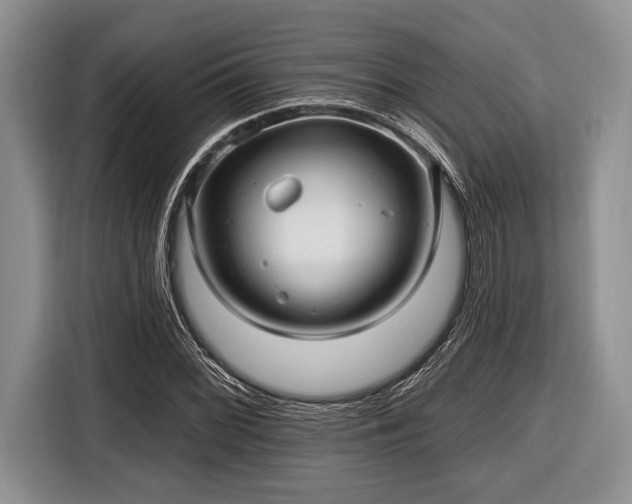 X0000116451068200912151255