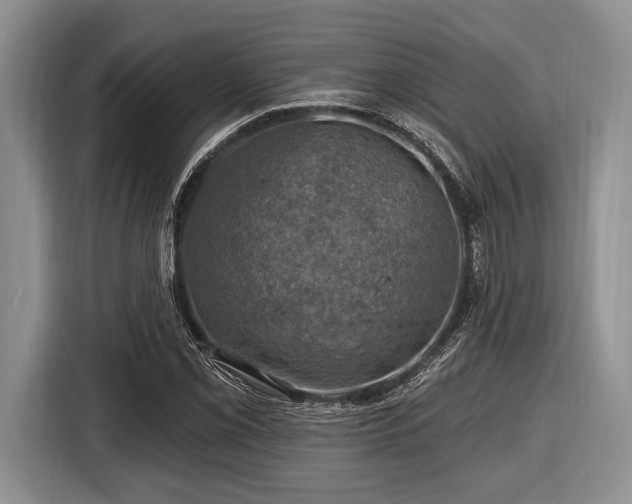 X0000116451069200912151255