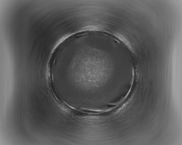 X0000116451070200912151255