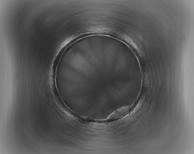 X0000116451071200912151255