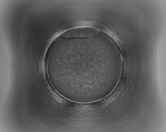 X0000116451072200912151255