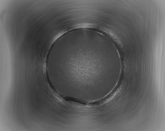 X0000116451073200912151255