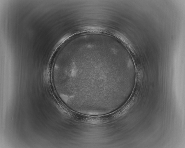 X0000116451074200912151255