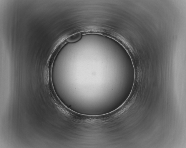 X0000116451075200912151255