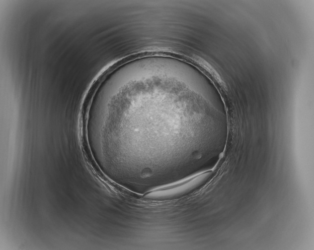 X0000116451076200912151255