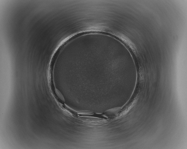 X0000116451077200912151255