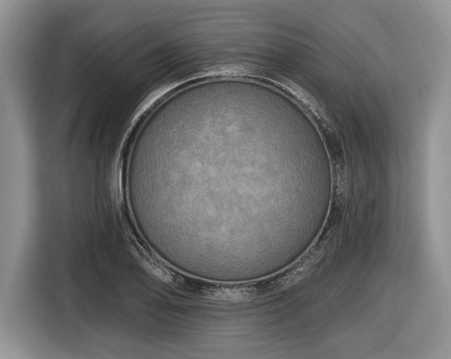 X0000116451078200912151255