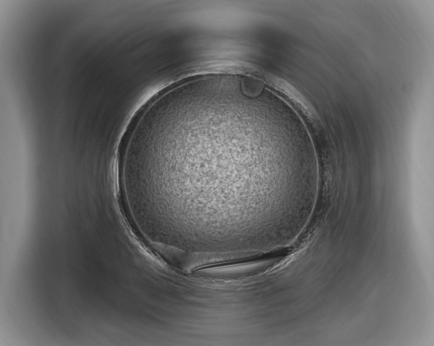 X0000116451079200912151255