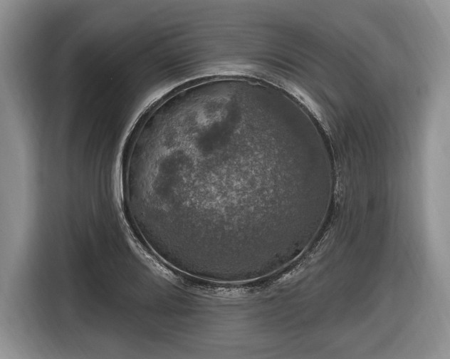 X0000116451080200912151255