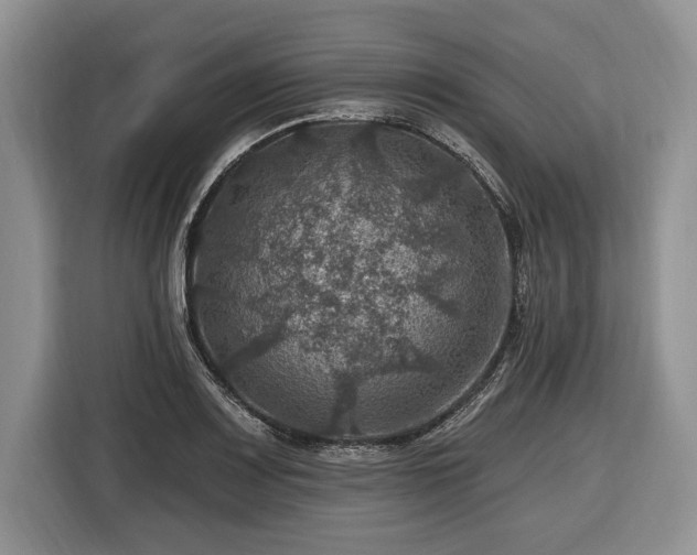 X0000116451083200912151255